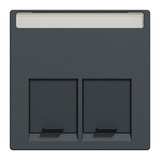 Merten Zentralplatte zweifach anthrazit, Retail