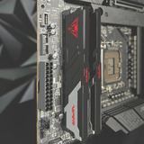 Patriot DIMM 48 GB DDR5-6000 (2x 24 GB) Dual-Kit, Arbeitsspeicher schwarz, PVV548G600C36K, Viper Venom, INTEL XMP, AMD EXPO