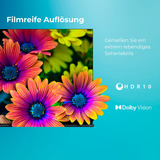 Toshiba 65UF3F63DAR, LED-Fernseher 164 cm (65 Zoll), schwarz, UltraHD/4K, Triple Tuner, HDR, Fire TV