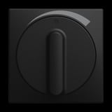 Busch-Jaeger Zentralscheibe 1740 Drehregler 03-915, Abdeckung schwarz, Retail