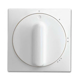 Busch-Jaeger Zentralscheibe für Schalter und Taster, Abdeckung weiß, Retail