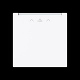 Busch-Jaeger Zentralscheibe Cardschalter Radiofrequenz-Identifikation 1792 RFID-44G, Abdeckung weiß, Retail