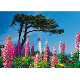 Schmidt Spiele Leuchtturm Dornbusch, Hiddensee, Puzzle 1000 Teile