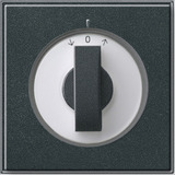 Gira Abdeckung mit Knebel Jalousie TX44 anthrazit, Retail