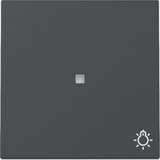 Gira Wippe Kontrollfenster und Symbol anthrazit, Retail