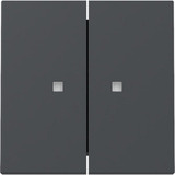 Gira Wippe zweifach mit Kontrollfenster anthrazit, Retail