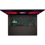 MSI Vector 17 HX A13VIG-673, Gaming-Notebook grau, Intel® Core™ i9-13980HX, NVIDIA GeForce RTX 4090, 32 GB DDR5, 2 TB (2 TB SSD), Windows 11 Home 64-Bit