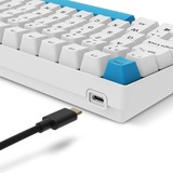 Sharkoon SKILLER SGK50 S2 PBT, Gaming-Tastatur weiß, BE-Layout, Gateron G Pro 3.0 Yellow