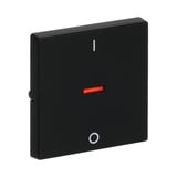 Busch-Jaeger Kontrollwippe mit Aufdruck Ein-Aus-Schalter matt schwarz, Retail