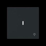 Busch-Jaeger Wippe mit Symbol Licht mit transparenter Kalotte schwarz, Retail