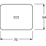Busch-Jaeger Kontrollwippe für Ausschalter, Wechselschalter, Kreuzschalter und Taster platin, Retail