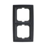 Busch-Jaeger Rahmen 2-fach chrom, Retail