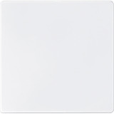 Merten Sensorfläche AQUADESIGN mit Kurzhubtaste, Schutzart IP44, Typ 573819, Zentralplatte weiß (glänzend), Retail