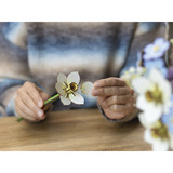 Revell Blossom Festival Holzblumen, Basteln holz