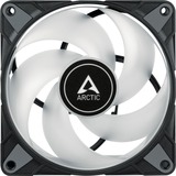 ARCTIC P12 PWM PST A-RGB 0dB 120x120x25, Gehäuselüfter schwarz, 120 mm