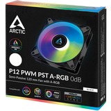 ARCTIC P12 PWM PST A-RGB 0dB 120x120x25, Gehäuselüfter schwarz, 120 mm