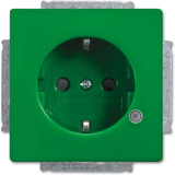 Busch-Jaeger Schuko Steckdoseneinsatz 20 EUCBL-13-84-101 grün, Retail