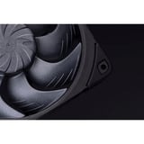 Noctua NF-A12x25 G2 PWM Sx2-PP chromax.black, Gehäuselüfter schwarz/beige, PWM-Anschluss, 2 Lüfter, 120 mm