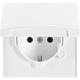 Busch-Jaeger Schutzkontakt-Steckdosen-Einsatz Schuko Typ F Unterputz mit Durchschleiffunktion IP44 weiß (glänzend), Retail