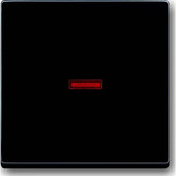 Busch-Jaeger Kontrollwippe einteilige Wippe Aus, Wechselschalter, Kreuzschalter, Taster anthrazit, Retail