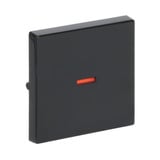 Busch-Jaeger Kontrollwippe einteilige Wippe Aus, Wechselschalter, Kreuzschalter, Taster anthrazit, Retail