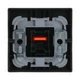 Busch-Jaeger Kontrollwippe einteilige Wippe Aus, Wechselschalter, Kreuzschalter, Taster anthrazit, Retail