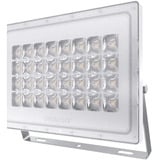 PRACHT FLOODY ECO 0265mm PC 1x100W 100° 13000lm ohne DV, LED-Leuchte weiß, 4000K