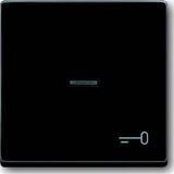 Busch-Jaeger Wippe anthrazit, Retail