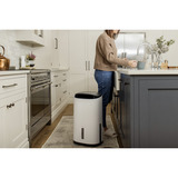 Meaco Dry Arete Two 20L Kompressor-Luftentfeuchter und Luftreiniger weiß/schwarz