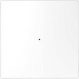 Merten Wippe für Taster-Modul einteilig mit Kontrollfenster, glänzende Oberfläche, Kunststoff weiß (glänzend), Retail