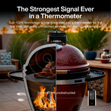 Typhur Sync Gold Quad, Thermometer schwarz, inkl. 4 Sonden