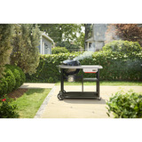 Weber Holzkohlegrill Performer Premium  schwarz/silber, Ø 57cm, Modell 2026
