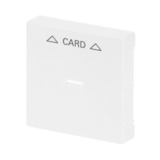 Busch-Jaeger Zentralscheibe für Cardschalter 1792-84 Retail