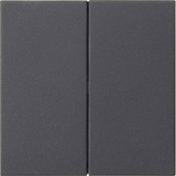 Gira Wippe zwei fach anthrazit, Retail