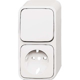 Busch-Jaeger Wechselschalter mit Schutzkontakt-Steckdose kombiniert weiß, Retail