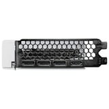 Palit GeForce RTX 5060 Ti OC WHITE 16GB, Grafikkarte weiß, DLSS 4, 3x DisplayPort, 1x HDMI 2.1