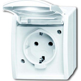 Busch-Jaeger Steckdose mit Klappdeckel CEE 7/3 Typ F 20 EBW-54 weiß, Retail