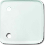 Busch-Jaeger Zentralscheibe Abdeckung für Zugtaster, Zentralplatte weiß, Retail