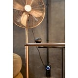 Shelly H&T, Thermodetektor schwarz