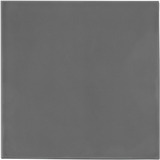 Thermal Grizzly Minus Pad extreme 2 - 100x 100x 0,5mm, Wärmeleitpads grau