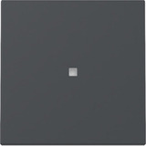 Gira Wippe Kontrollfenster anthrazit, Retail