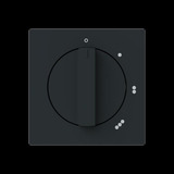 Busch-Jaeger Zentralscheibe mit Aufdruck "0 bis 3", Abdeckung schwarz, Retail