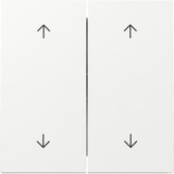 Gira Wippe zweifach mit Pfeilsymbolen weiß, Retail