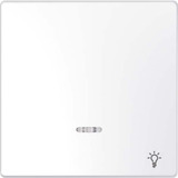 Merten Wippe mit Kontrollfenster und Aufdruck Licht für Kontrollschalter und Taster Einsatz weiß, Retail