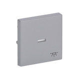 Busch-Jaeger Wippe mit Symbol Licht Retail