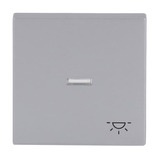 Busch-Jaeger Wippe mit Symbol Licht Retail