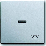 Busch-Jaeger Wippe mit Symbol Licht Retail