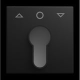 Busch-Jaeger Zentralscheibe 2557 Profilhalbzylinder Tastschalter, Abdeckung schwarz, Retail