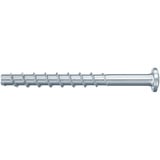 fischer Betonschraube FBS 5x40 /5 Panhead TX 100 Stück, verzinkt