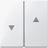 Merten Wippe für Rollladenschalter und Wipptaster Einsatz, Typ 434419, zweiteilige Wippe weiß (glänzend), Retail